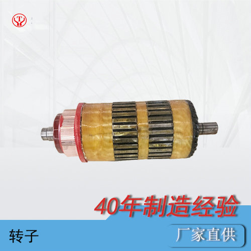 工礦電機(jī)車直流牽引電機(jī)ZQ-7轉(zhuǎn)子